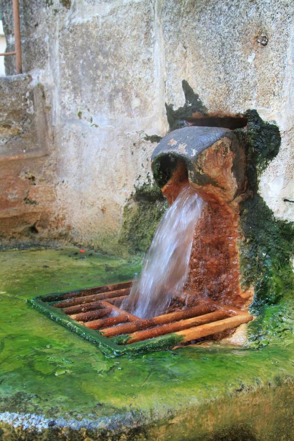 Maison De Plein Pied Au Coeur De La Nature Chaudes-Aigues Exteriör bild